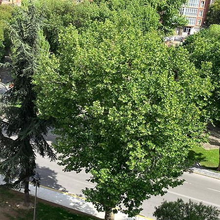 El Balcoen De Aviles, Acogedor Con Garaje En Centro Historico, Bagian luar foto