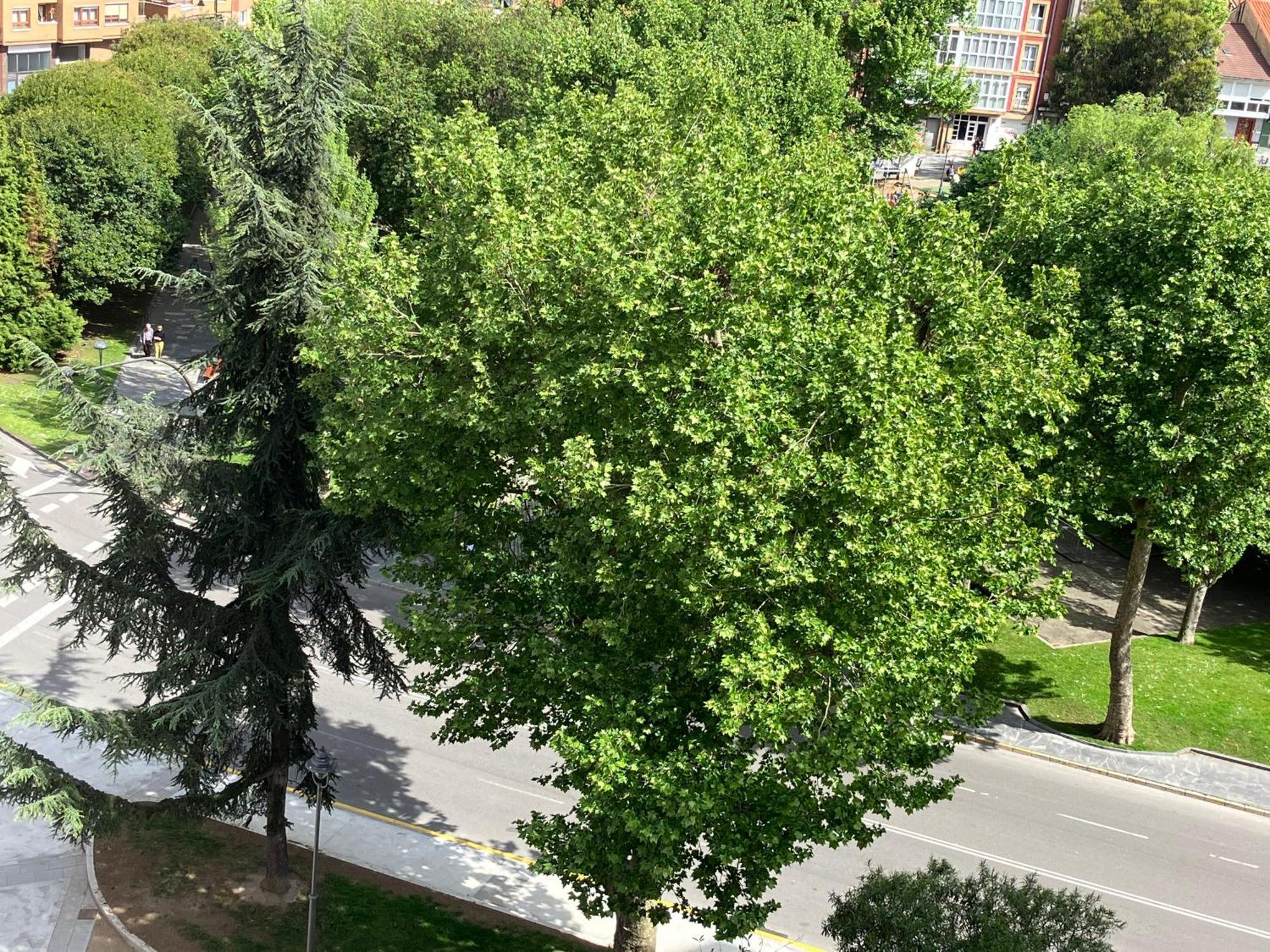 El Balcoen De Aviles, Acogedor Con Garaje En Centro Historico, Bagian luar foto